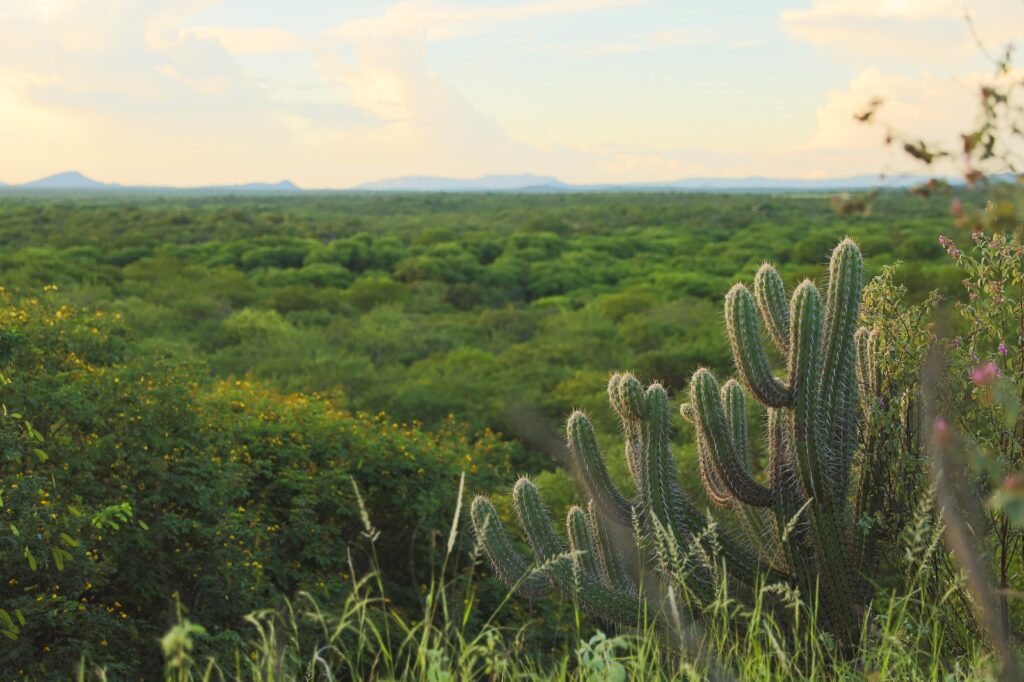 Sisal EcoLab — landing institucional